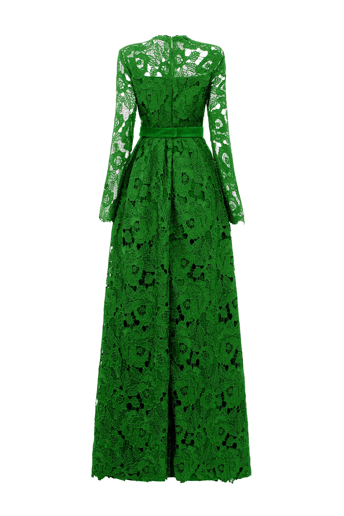 Green Pleated Lace and Velvet Gown