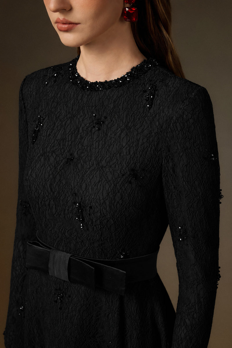 Round Neck A-Line Gown With Red Crystal Embellishments In Black Vine Guipure Lace