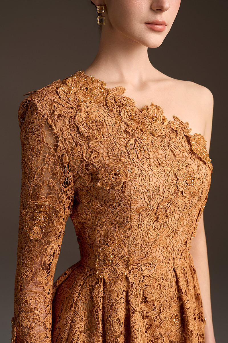 One Shoulder A-Line Dress In Bloom Rose Lace